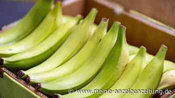 Knusprig und herzhaft: Was Kochbananen besonders macht