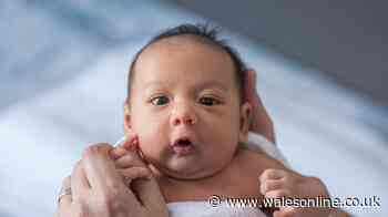 New baby names head to top of official list chosen by parents