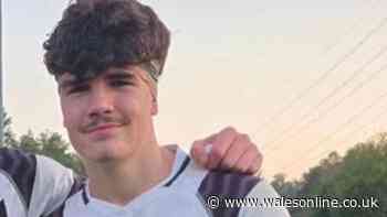 Wales rugby star's son is running 50 miles through Welsh streets every day