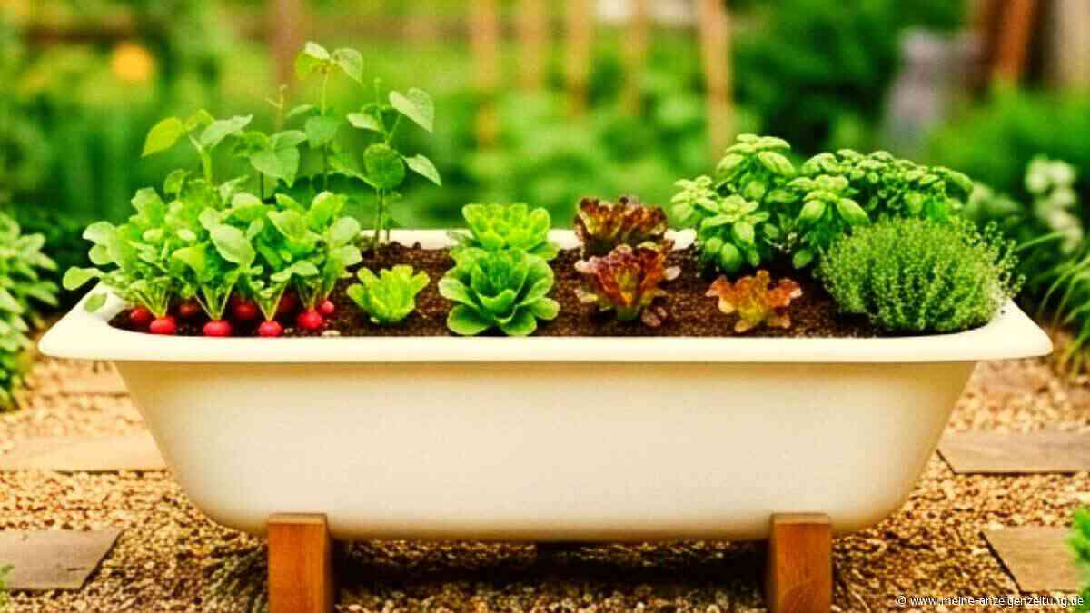Alte Badewanne im Garten – so wird daraus ein hübsches Hochbeet