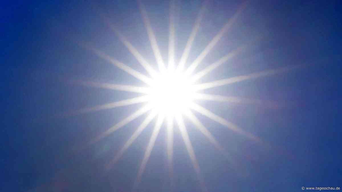 Hitzewelle in Deutschland - mehr als 5.000 Tote bis Ende Juni