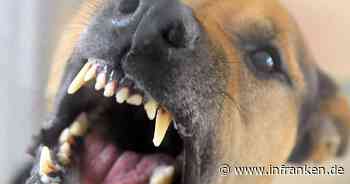 Sachsen-Anhalt: Familienhund beißt Mädchen (4) tot - jede Hilfe kommt zu spät