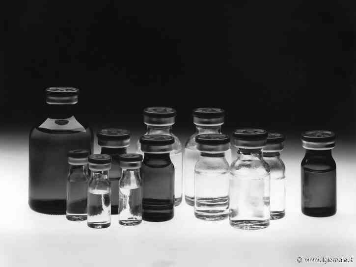Furto di fentanyl, l'ipotesi delle corse dei cavalli