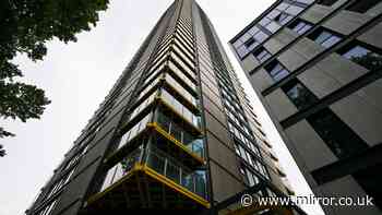 Mum, dad and 'severely ill' son plunged to deaths from London tower block 'onto other building'