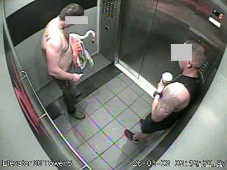 Canadian accused of Las Vegas flamingo theft, torture pleads not guilty
