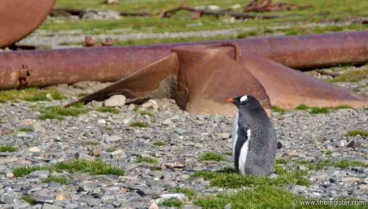Ubuntu emphasizes Arm64 support – and gets Rustier