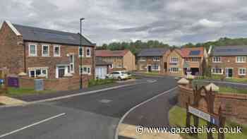 Clash of opinions as new Guisborough neighbourhood plan approved in referendum vote