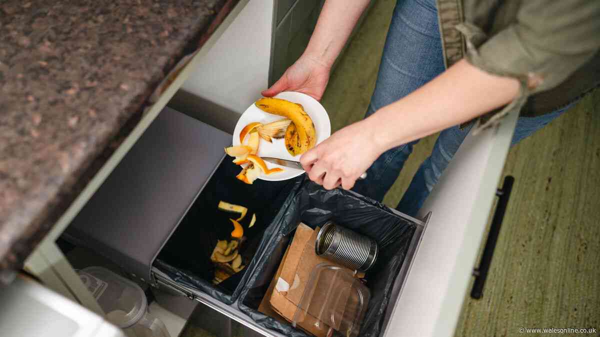 Kitchen bins will never smell if you use natural ingredient cleaning expert loves