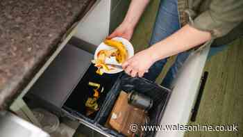 Kitchen bins will never smell if you use natural ingredient cleaning expert loves