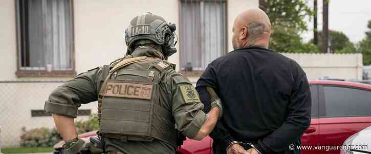 US publishes names, photos of 124 Nigerians marked for deportation