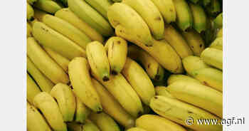 Dordtenaar aangehouden na cocaïnevondst tussen bananen