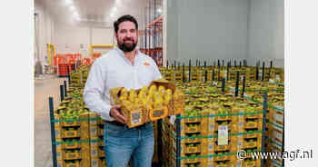 Mexicaanse mango's naar 86 miljoen kartons in plaats van 103