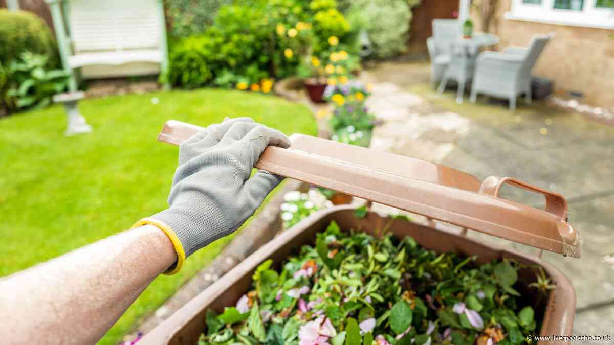 Five common items you should 'never' put in your garden waste bin — or risk a fine