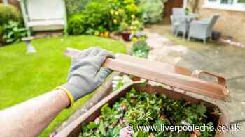 Five common items you should 'never' put in your garden waste bin — or risk a fine
