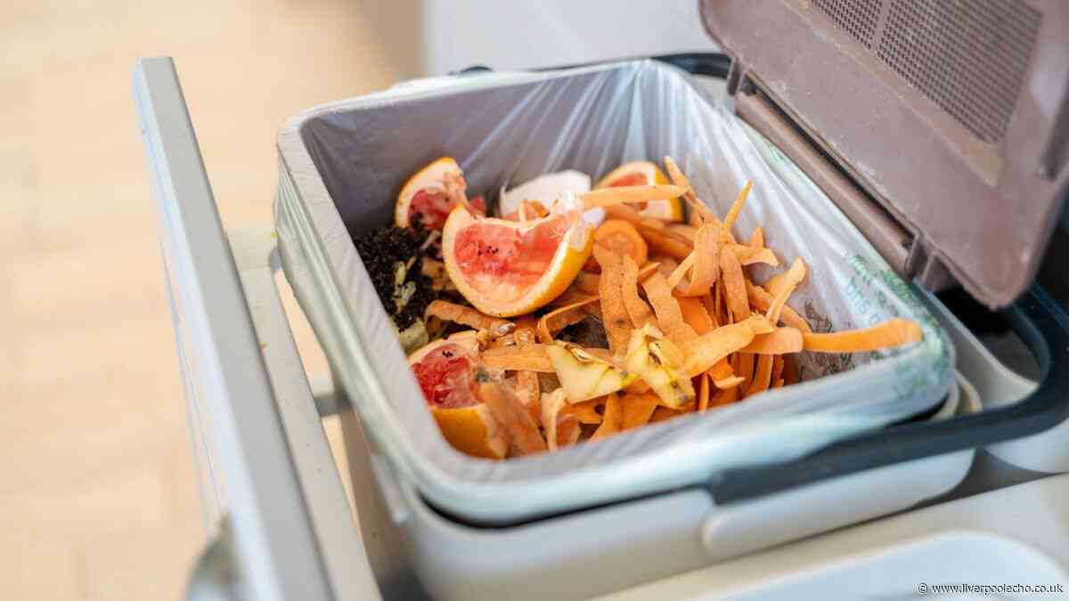 Kitchen bins will never smell if you use natural 5p cupboard ingredient