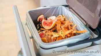 Kitchen bins will never smell if you use natural 5p cupboard ingredient