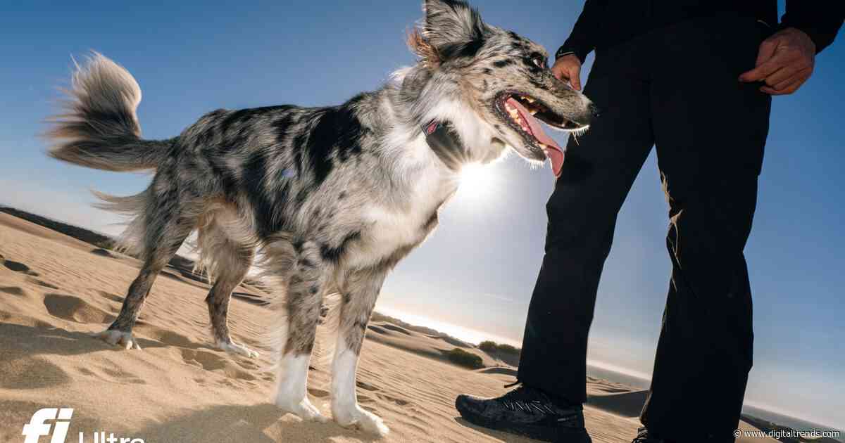 Your dog can run, but Fi’s new tracker makes sure you can still find them