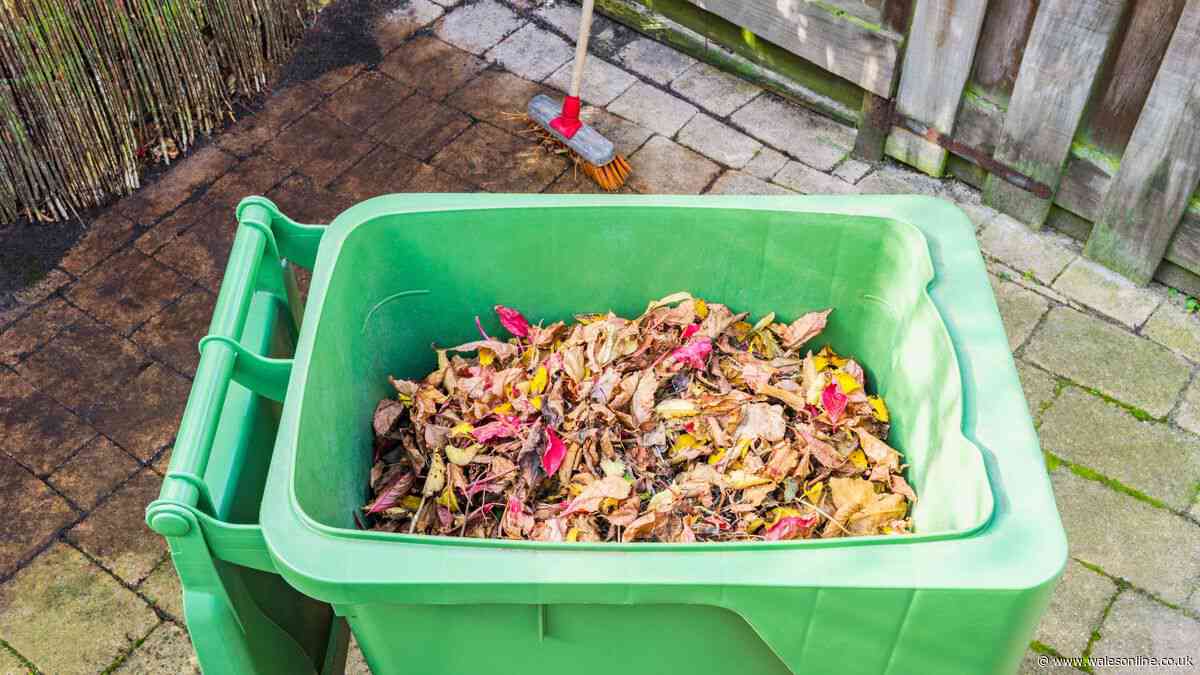 Five items to ‘never’ put in your garden waste bin or risk fines
