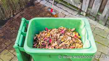 Five items to ‘never’ put in your garden waste bin or risk fines