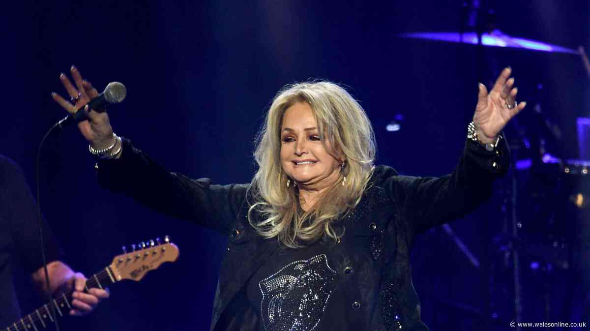 Total Eclipse of the Heart wasn't written for Bonnie Tyler and had very different purpose