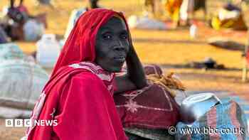 International court tells BBC of breakthrough in Sudan war crimes probe