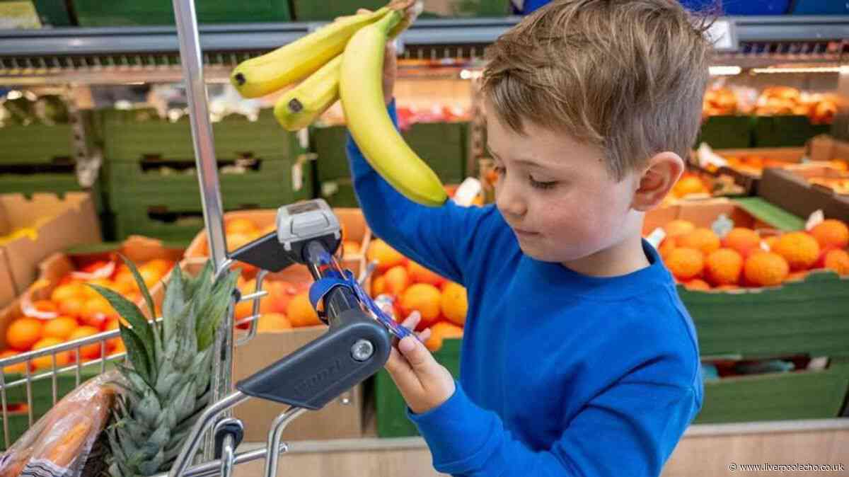 Lidl to update its trolleys mid-July with new tags that'll 'transform food shopping'