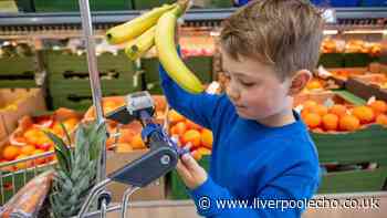 Lidl to update its trolleys mid-July with new tags that'll 'transform food shopping'
