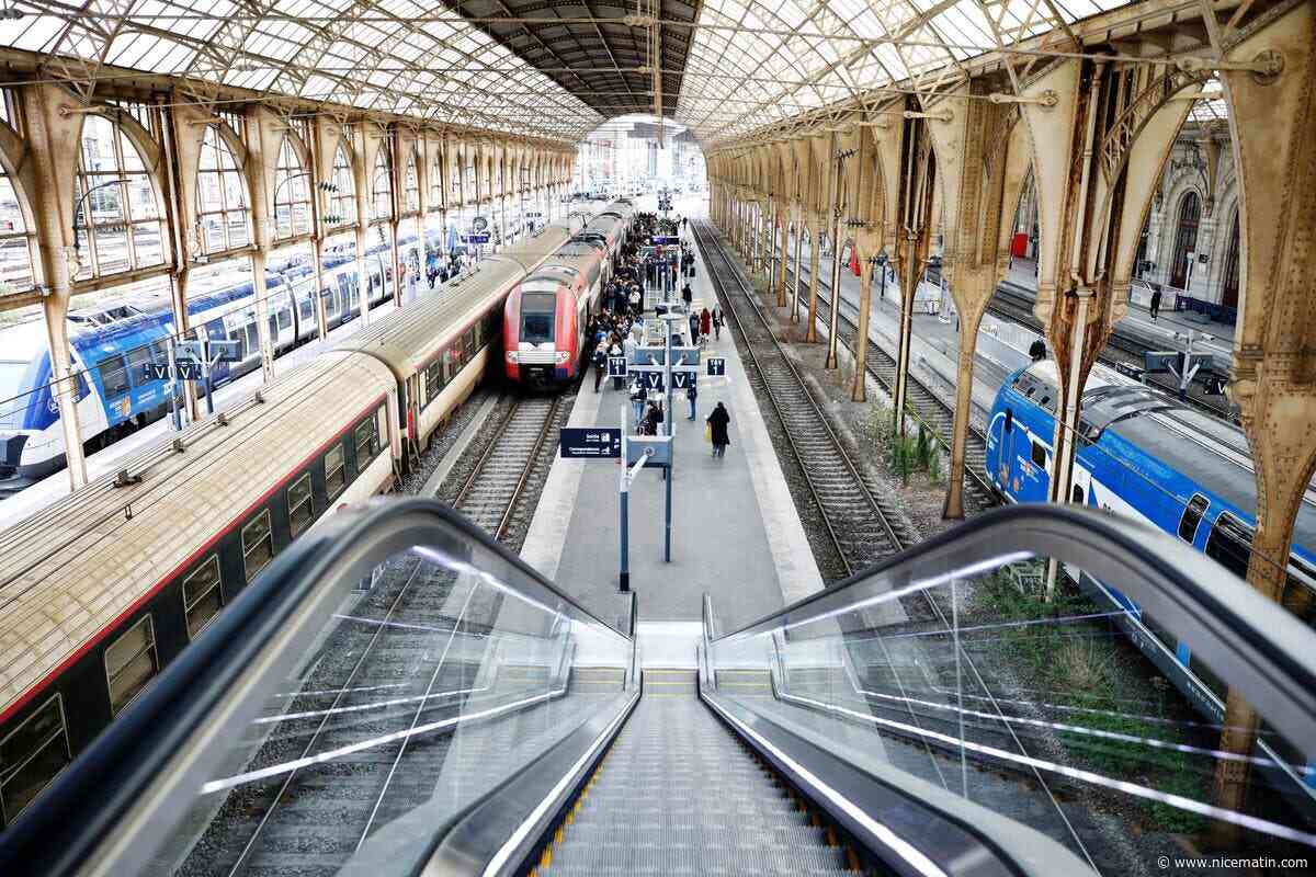« C’était interminable » : bloqués pendant 1h45 en pleine canicule dans un train parti de Nice, ils témoignent