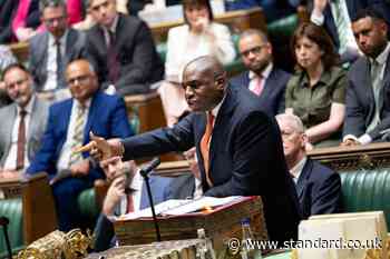 Green London councillor apologises for 'coconuts' comment as David Lammy calls out party's 'racist language'