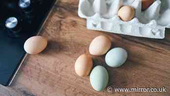 Brown eggs vs white eggs: Key difference explained and if it really matters