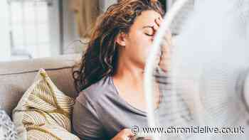 Energy supplier to give free fans and energy credit to help households cope in summer heat