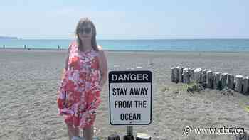 Don't stand in 'deadly' ocean in St. Vincent's, N.L., whale-watchers warned