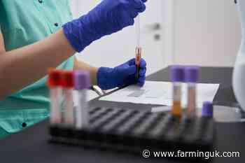 Free prostate cancer checks offered to farmers at NSA Sheep Event