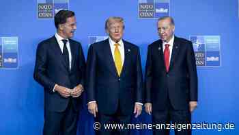 Nach Trumps Attacken: NATO überrascht mit klarer Einheits-Erklärung