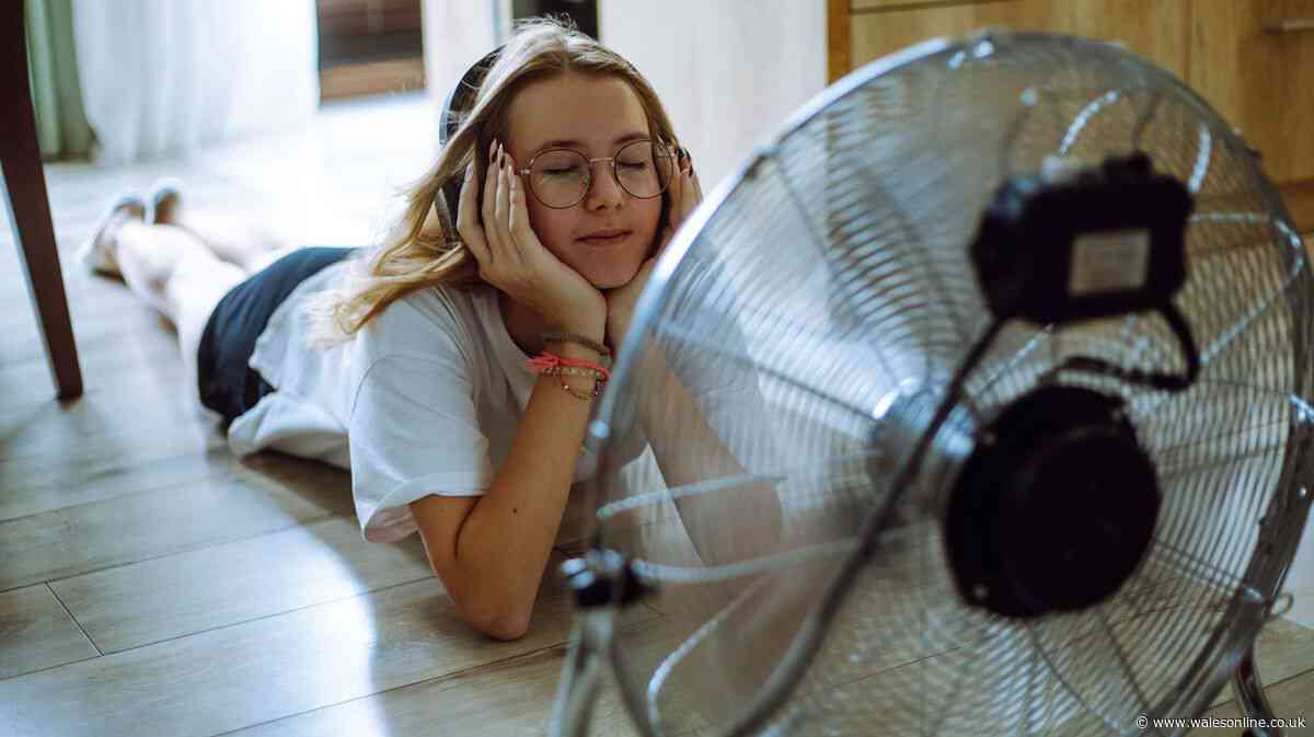 Homes 'won't feel hot' with simple 'flushing' method that 'cools rooms'
