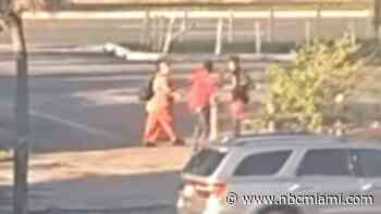 Video shows mother and son being attacked by stranger in Fort Lauderdale