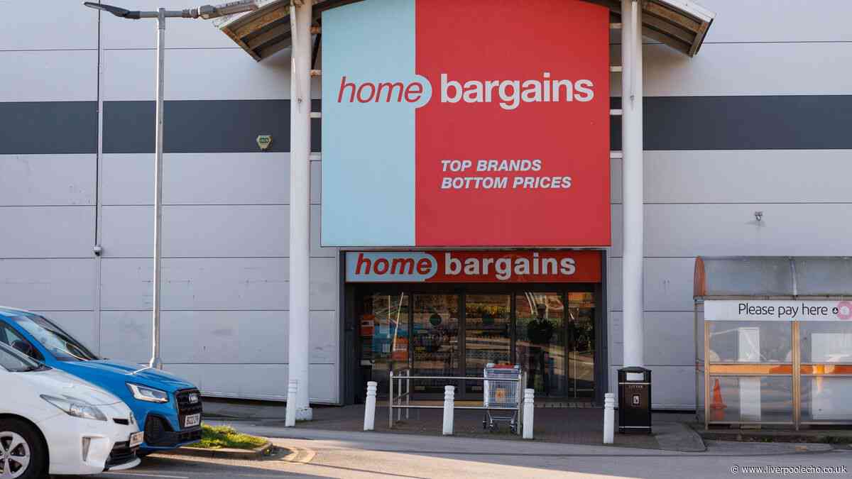 'Hair looks shiny' with £2 Home Bargains beauty item similar to £22 bestseller