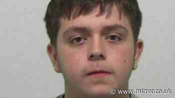 Teen weeps as he avoids prison after raping young girl he met in South Shields park