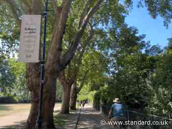 Fulham FC ads near West London park to remain despite hundreds of objections