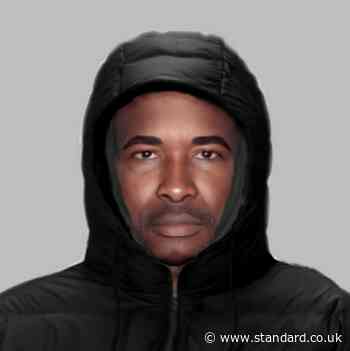 Police release e-fit of suspect after woman in her 20s stalked and attacked in Islington