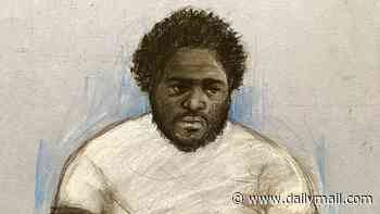 Man accused of mass stabbing in Huntingdon train attack denies attempted murder of ten people