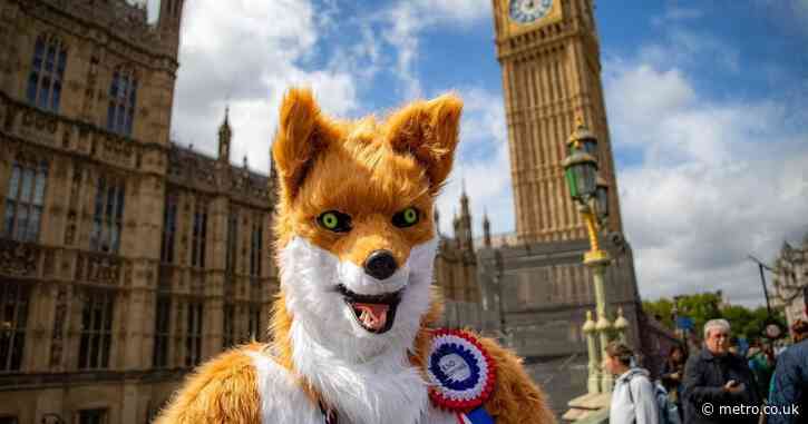 Human fox joins Count Binface in run against Nigel Farage for Clacton byelection