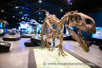 Westfalen war Dinoland: Neue Landesausstellung in Münster öffnet