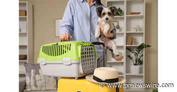 AVMA Veterinarians Offer Tips for Smooth Travel with Pets this Season