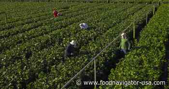 Ferrero advances certified sourcing and supplier compliance