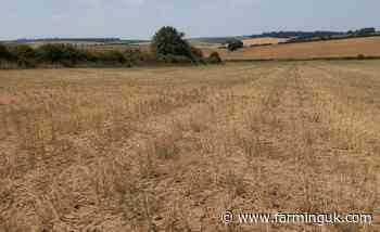 Climate impacts blamed as UK food self-sufficiency drops to 60%