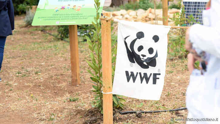 Il Wwf eredita la villa e il patrimonio dei due coniugi trovati mummificati nella loro casa in Valpolicella