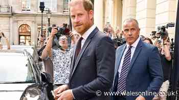 'I spoke with Palace staff - their savage nickname for Prince Harry spoke volumes'