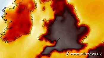 UK weather maps reveal heatwave peaking on Friday with 7 counties hitting 36C