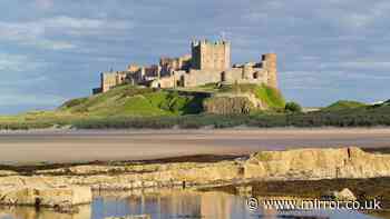 'I run Bamburgh Castle - the bills cost a fortune and famous author also has claim to it'